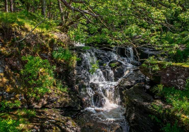 Inversnaid explorer Cruise Loch Lomond