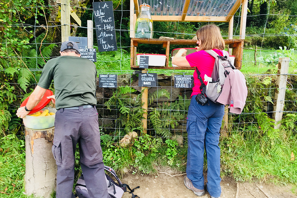 Wee Honesty Box