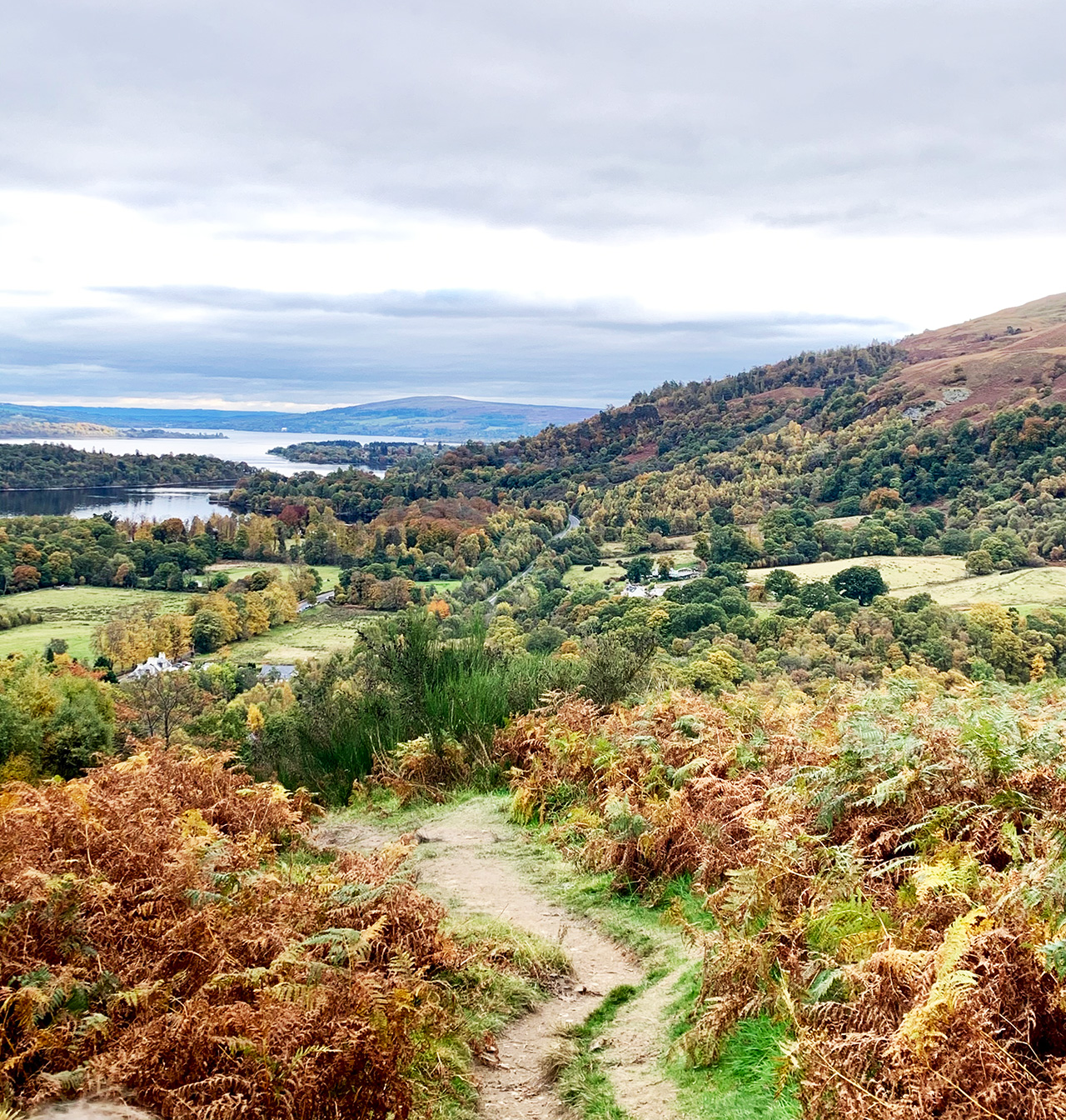 Cruise Loch Lomond Luss