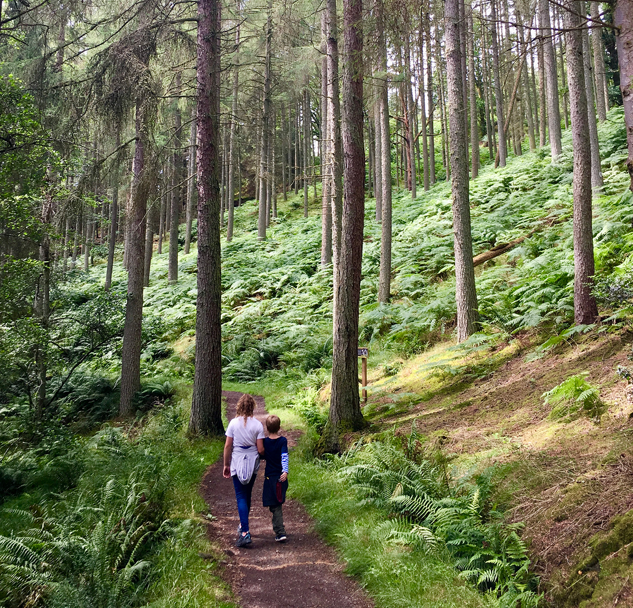 Families on Loch Lomond